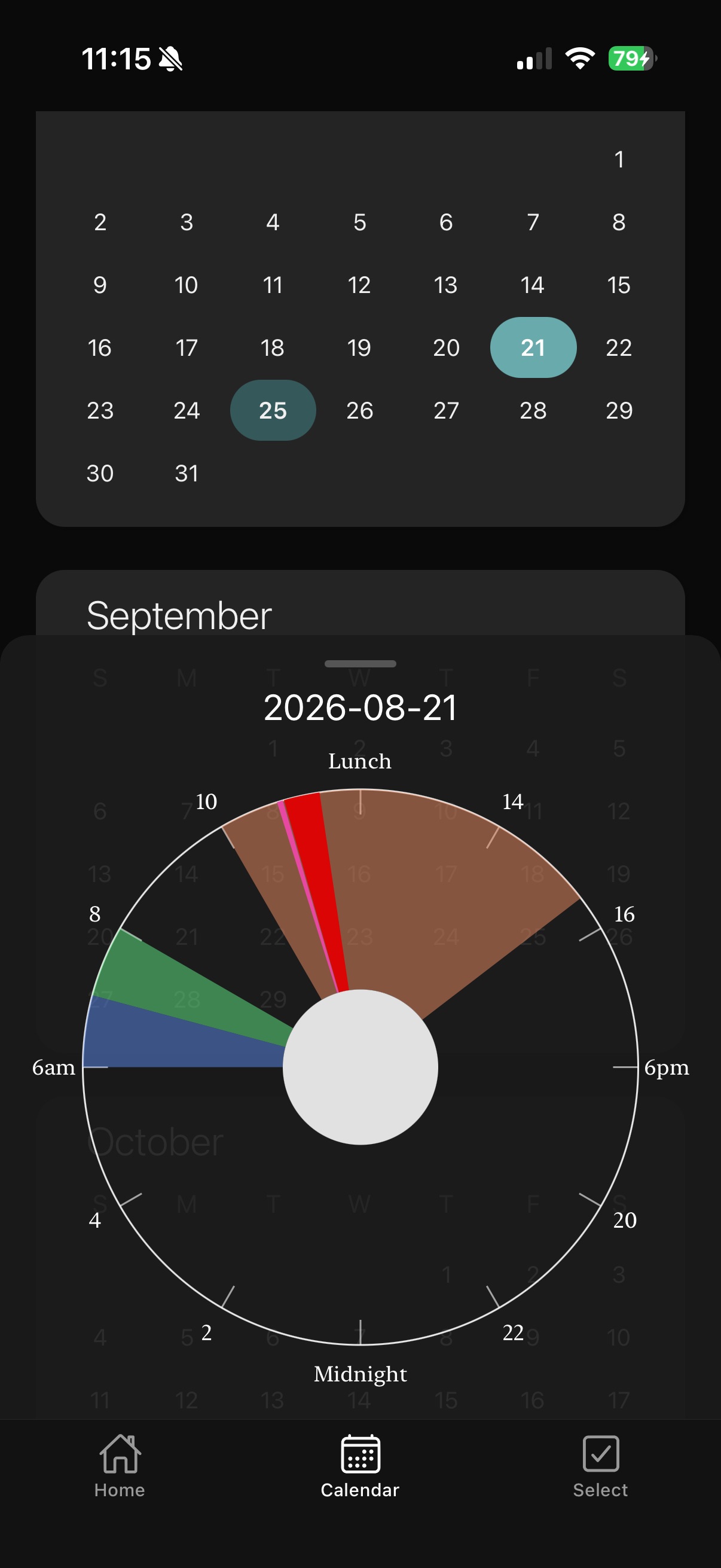 Browsing past days on the calendar